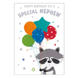 Nephew Birthday Card